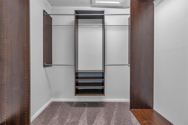 spacious closet featuring carpet flooring
