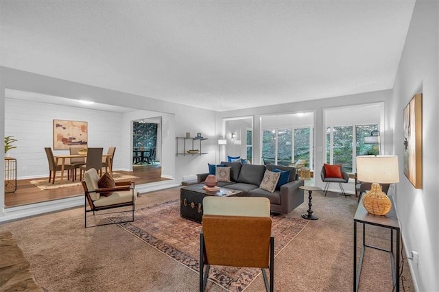living area featuring baseboards and a textured ceiling