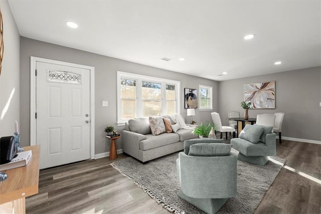 living room featuring hardwood / wood-style flooring