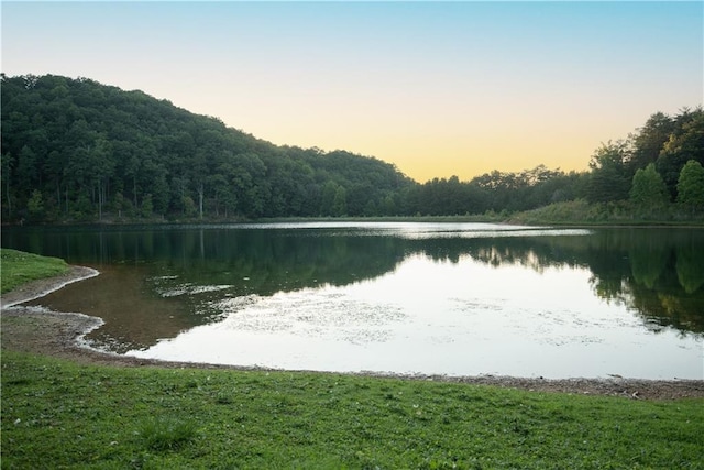 property view of water with a wooded view