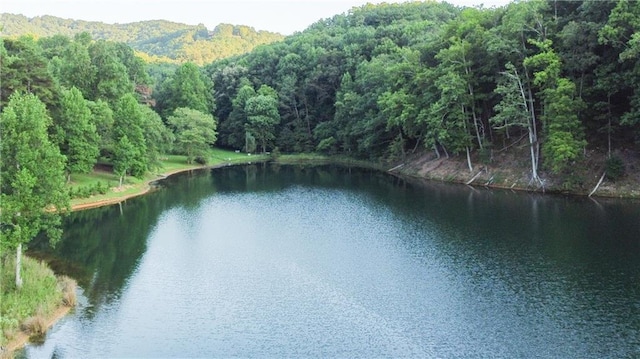 property view of water with a forest view and a mountain view