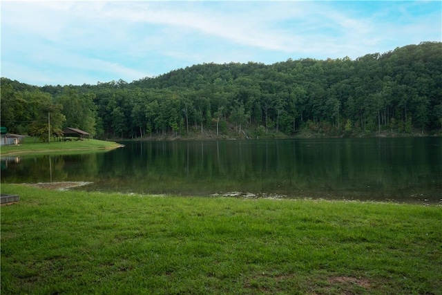 view of water feature with a forest view