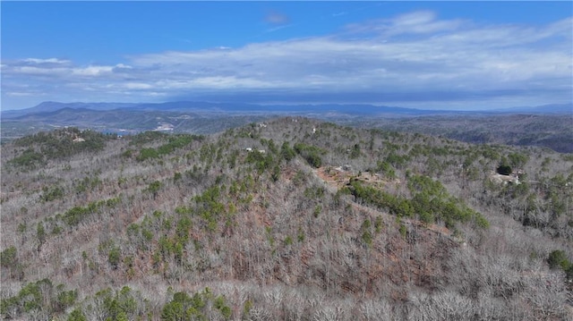 drone / aerial view featuring a mountain view