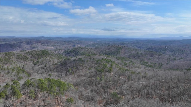 drone / aerial view featuring a mountain view