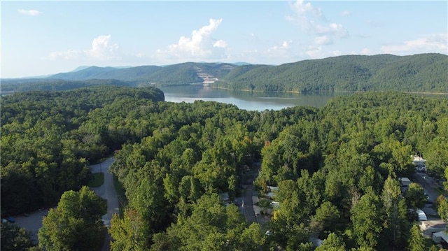 drone / aerial view with a wooded view and a water and mountain view