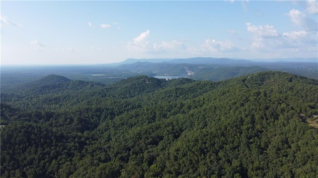 birds eye view of property featuring a mountain view and a wooded view