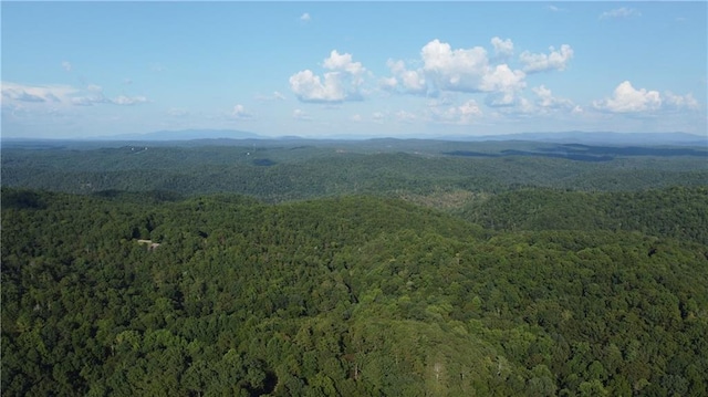 bird's eye view with a forest view