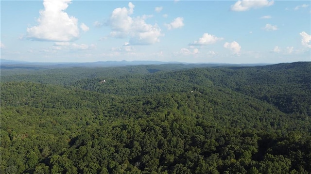 bird's eye view with a view of trees