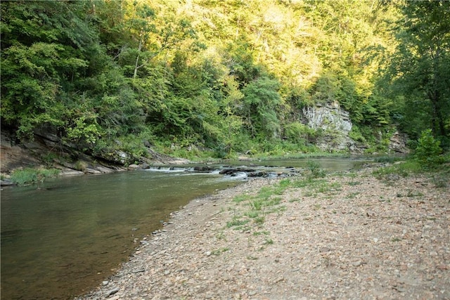 property view of water with a view of trees