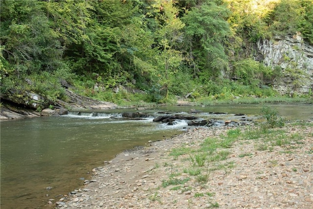 water view with a view of trees