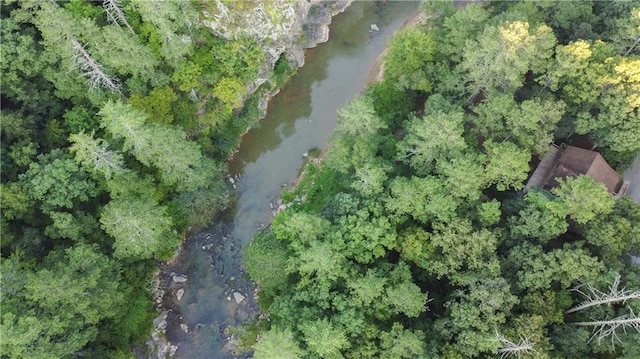 drone / aerial view with a water view and a view of trees