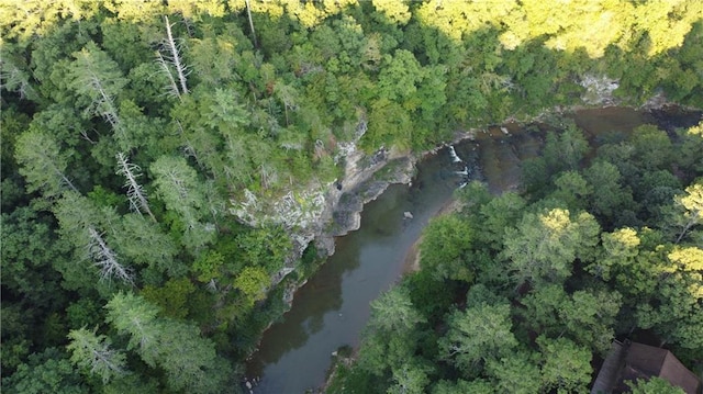 birds eye view of property with a wooded view