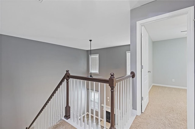 staircase with plenty of natural light and carpet