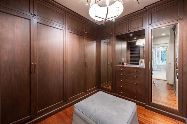 spacious closet featuring light hardwood / wood-style flooring