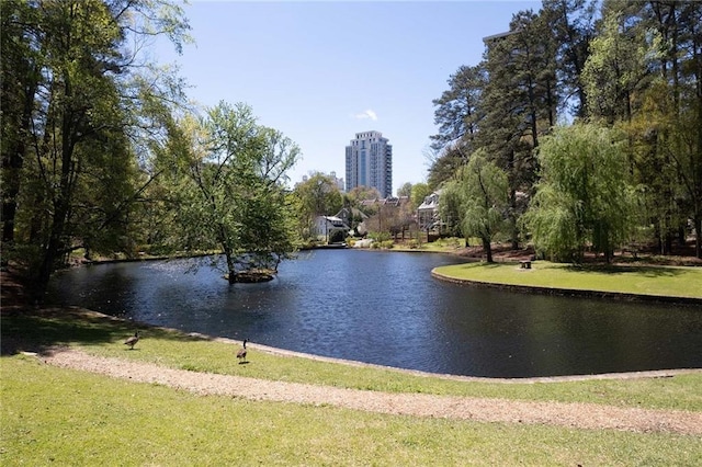 view of water feature