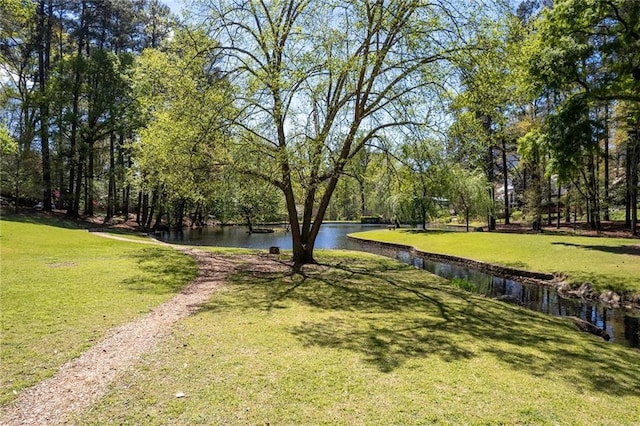 view of home's community featuring a water view and a yard