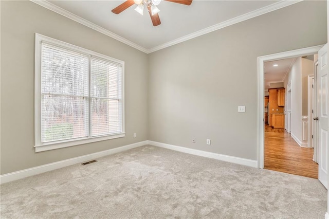 spare room with ceiling fan, ornamental molding, and carpet