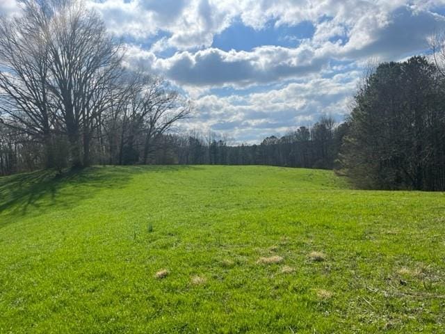 00 Mark Foster Rd, Talking Rock, GA 30175