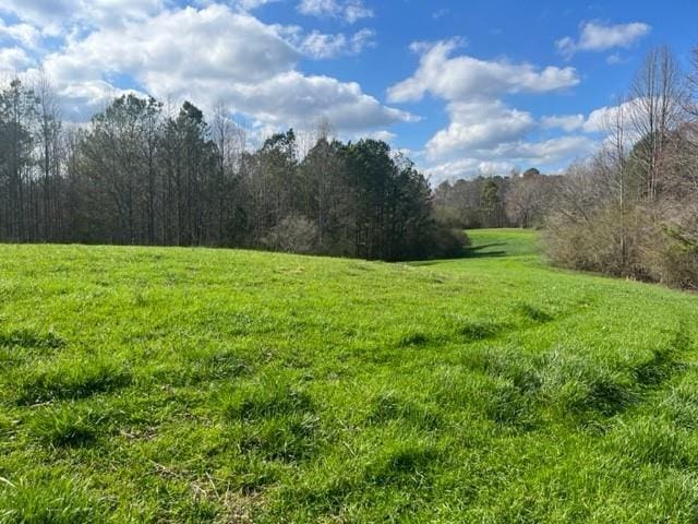 00 Mark Foster Rd, Talking Rock, GA 30175