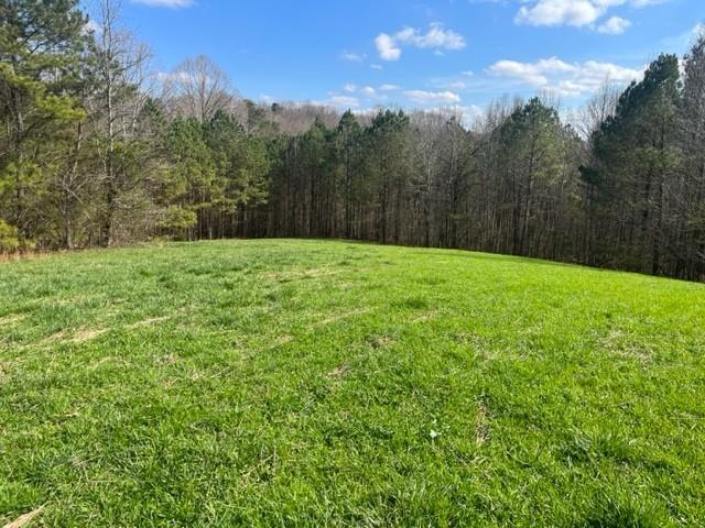 00 Mark Foster Rd, Talking Rock, GA 30175