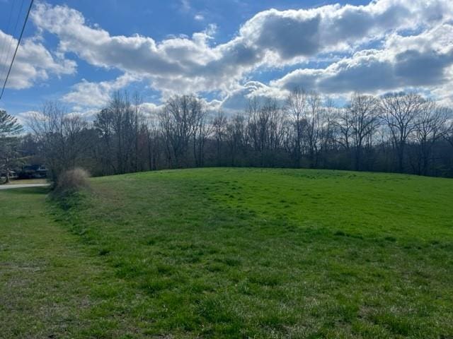 00 Mark Foster Rd, Talking Rock, GA 30175