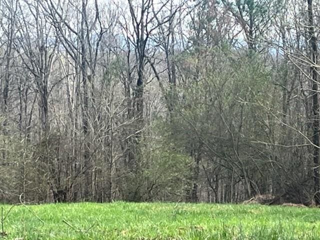 00 Mark Foster Rd, Talking Rock, GA 30175