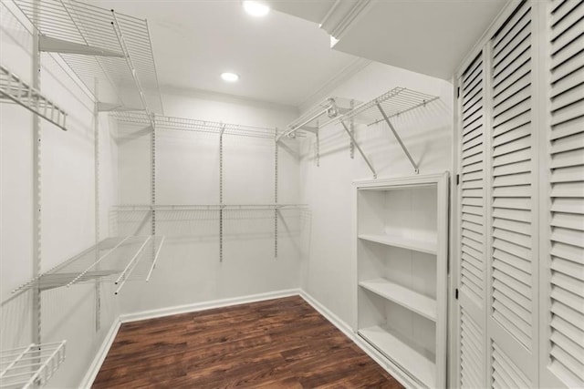 spacious closet with dark hardwood / wood-style floors