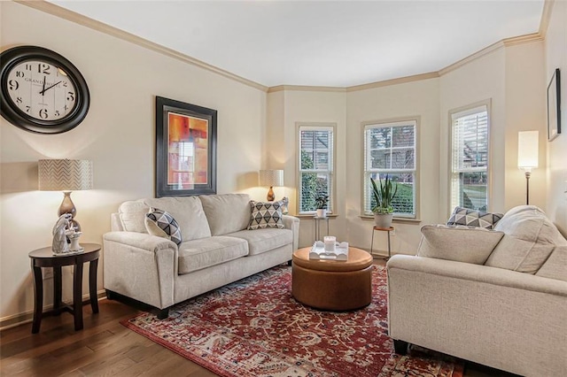 living area with a healthy amount of sunlight, wood finished floors, baseboards, and ornamental molding