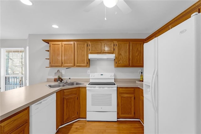 kitchen featuring a sink, under cabinet range hood, light wood-type flooring, white appliances, and open shelves