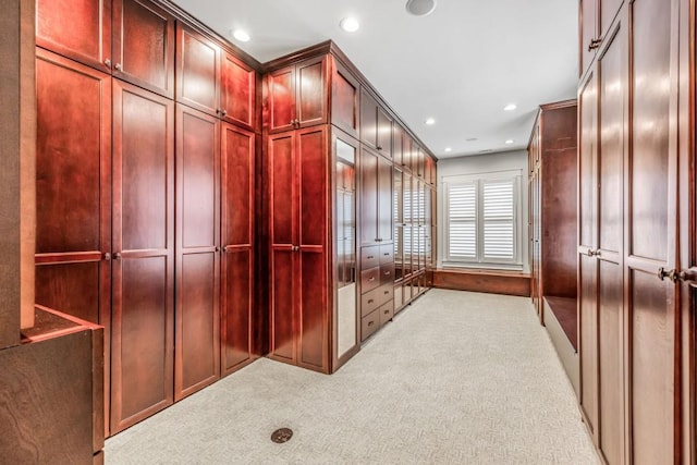 47 Fern Leaf Way, Newnan, GA 30265 - spacious closet with light carpet