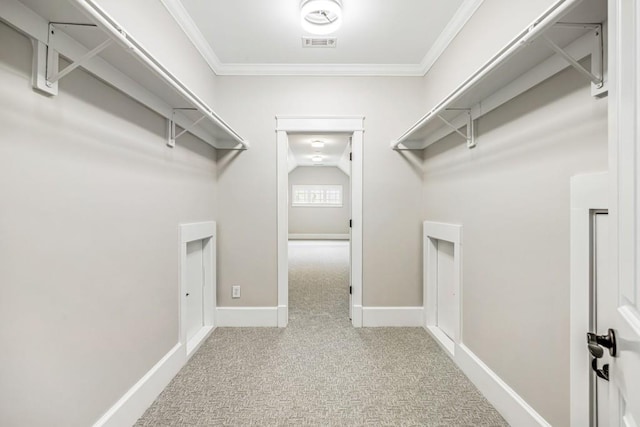 47 Fern Leaf Way, Newnan, GA 30265 - walk in closet with carpet