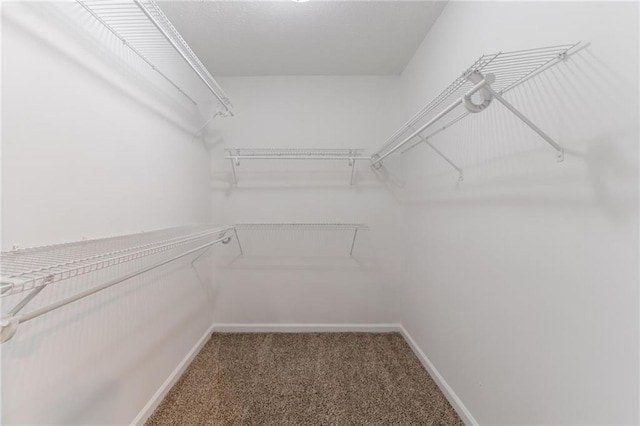 3732 Landgraf Cv, Decatur, GA 30034 - walk in closet featuring carpet