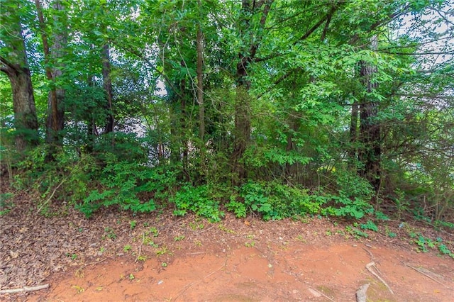 3732 Landgraf Cv, Decatur, GA 30034 - view of nature
