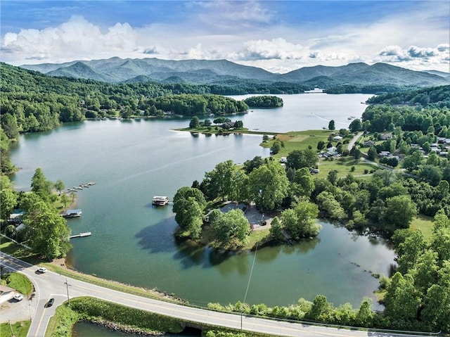 834 Lower Bell Creek Rd, Hiawassee, GA 30546 - bird's eye view of a water and mountain view
