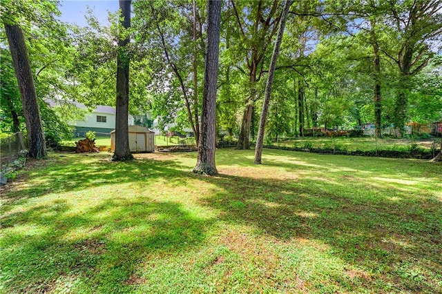 view of yard with a shed