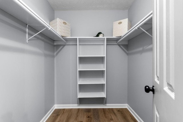 walk in closet featuring hardwood / wood-style floors