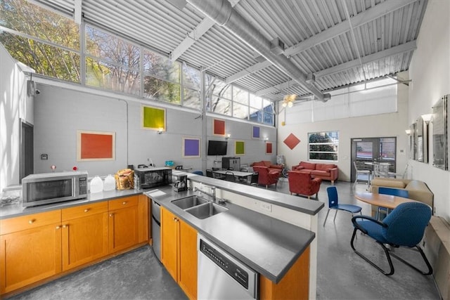 kitchen with sink, a high ceiling, and appliances with stainless steel finishes