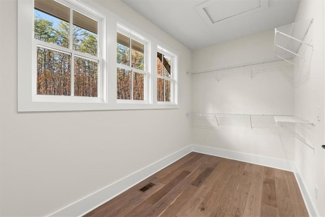 spacious closet with wood-type flooring