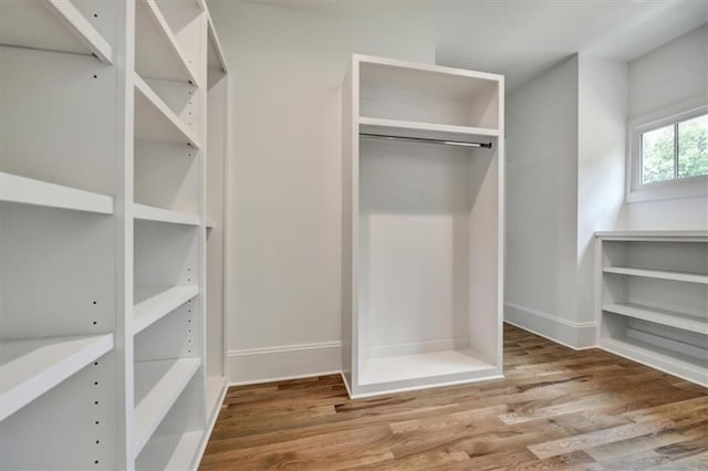 spacious closet with wood-type flooring