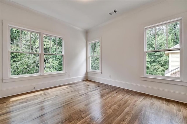 spare room with light hardwood / wood-style floors, a wealth of natural light, and crown molding