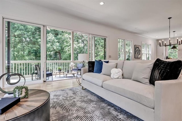 living room with a notable chandelier, plenty of natural light, and wood-type flooring