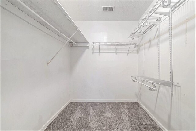 spacious closet with carpet floors