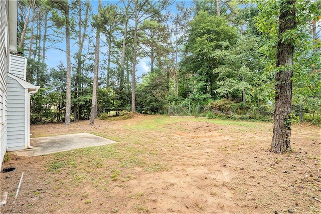 view of yard featuring a patio