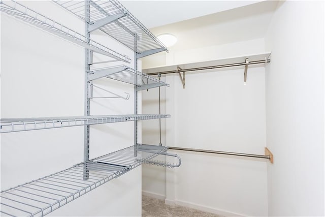 spacious closet featuring light colored carpet