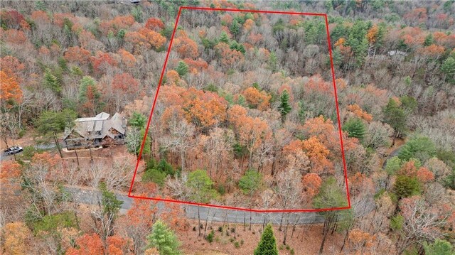 00 Oceola Dr, Ellijay, GA 30540