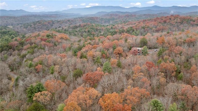00 Oceola Dr, Ellijay, GA 30540