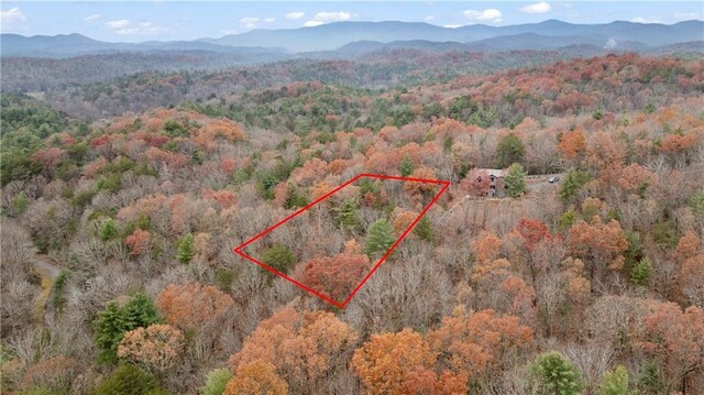 00 Oceola Dr, Ellijay, GA 30540