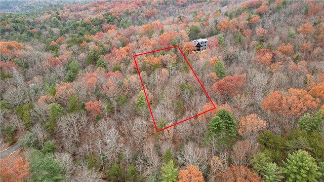 00 Oceola Dr, Ellijay, GA 30540
