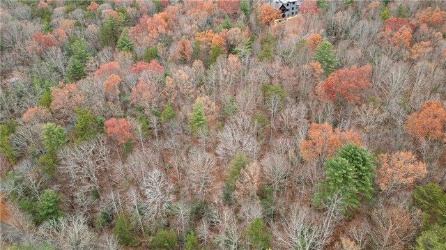 00 Oceola Dr, Ellijay, GA 30540