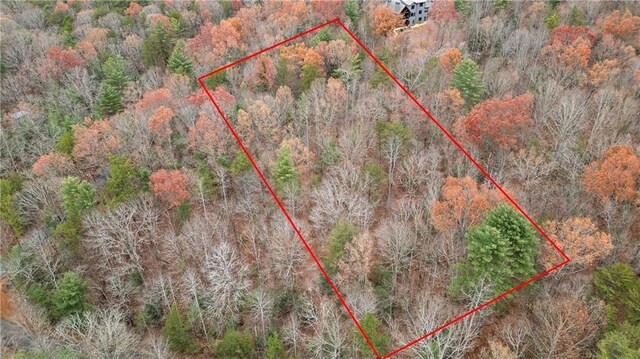 00 Oceola Dr, Ellijay, GA 30540